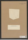 Diatomeae indet. Zeichnungen Sammlung Grunow Nr. 7589 (NHMW-BOT-W0376748)